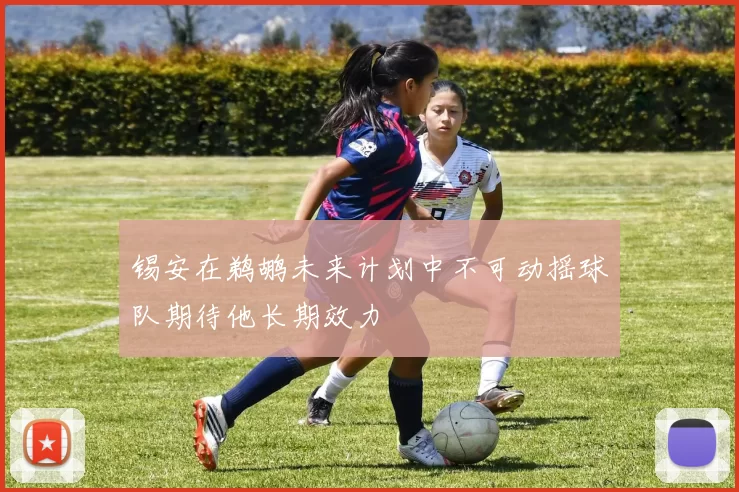 锡安在鹈鹕未来计划中不可动摇球队期待他长期效力